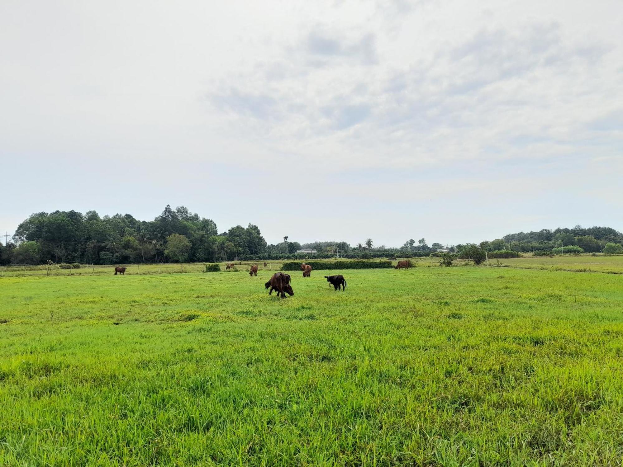 Lotus Farm Retreat Ho Chi Minh City Exterior photo