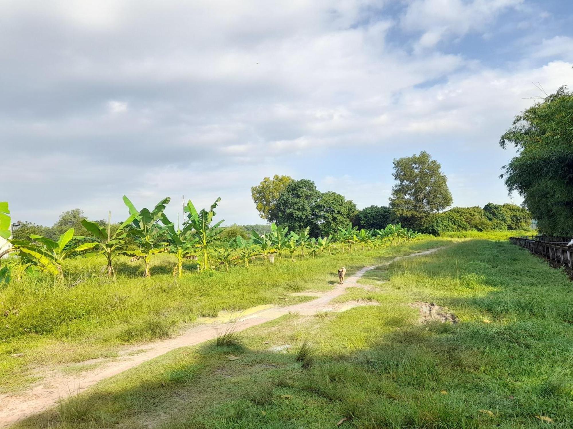 Lotus Farm Retreat Ho Chi Minh City Exterior photo